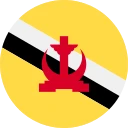 brunejský dolar